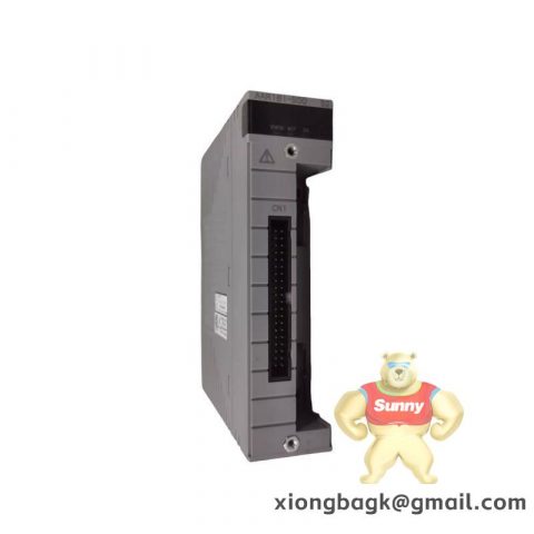 Yokogawa TYPE-DU-2/MKIIIORDER Industrial Control Module