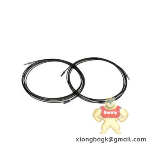 ABB MSK061C-0600-NN-M1-UP0-NNNN Industrial Control Module