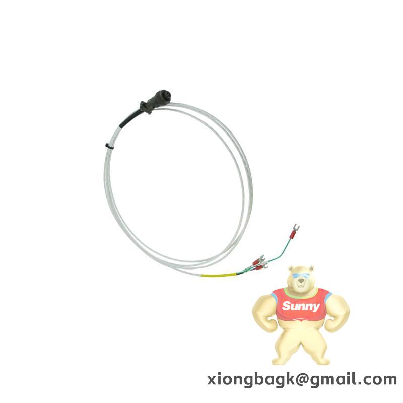 bently_nevada_16710-15_interconnect_cable.jpg Beckhoff PCD2.W200 SAIURS 52030C10 Industrial Control Module