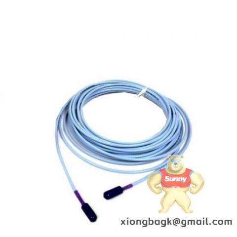 Bently Nevada 3500/53M 288062-01 PLC Module