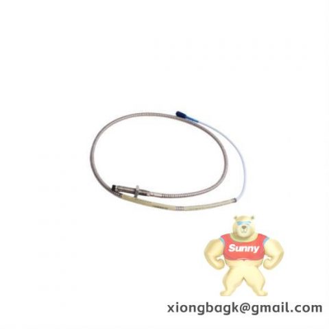 Bently 9200-09-01-02-01 Vibration Monitoring Module