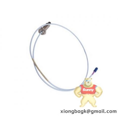 Bently 1900/55-01-01-01-00 Industrial Module, Optimized for Precision Control