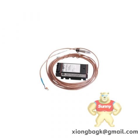 EPRO PR6423/010-010-CN PLC Controller with Custom Processing