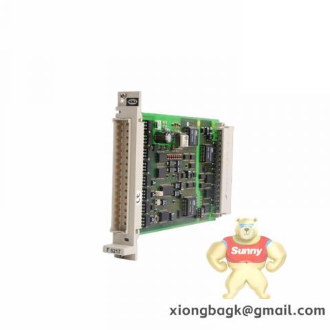 HIMA F6217 984621702F6217 984621702 PLC Module