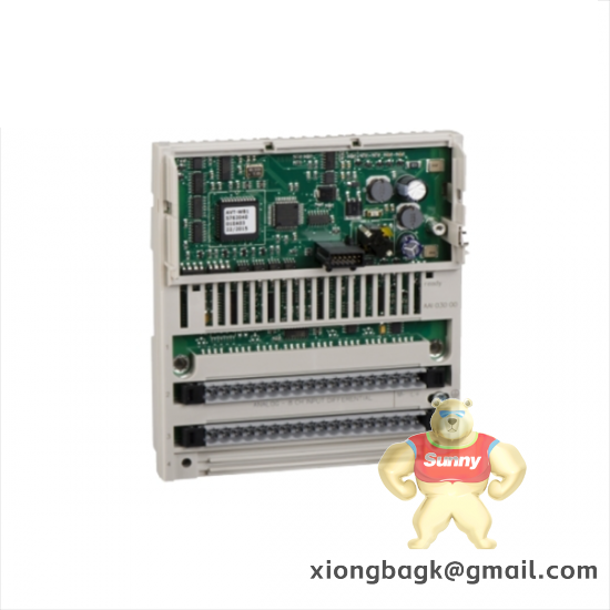 schneider_170aai03000_distributed_analog_input-1.png Schneider Electric STBAVO1250K Standard Analog Voltage Output Kit, 2 Channels, +/-10VDC, 0-10VDC
