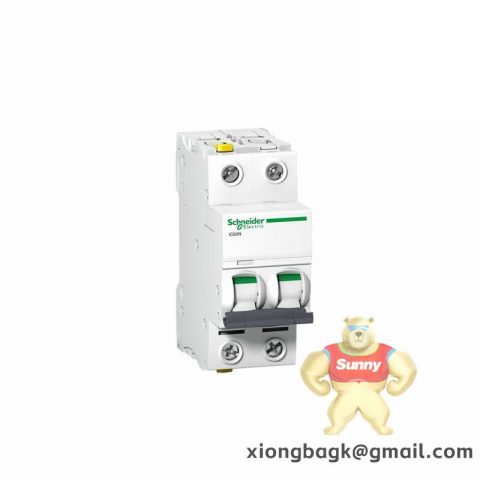 SCHNEIDER C65N 3P D63 Thermal Control System