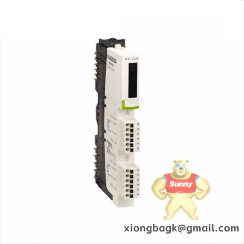 SCHNEIDER XCS3PL220 940369 PLC Module