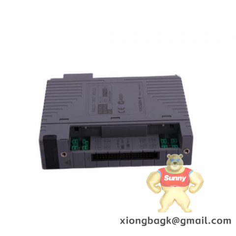 Schneider Electric BMXAMO0802H Modicon X80 Analog Output Module