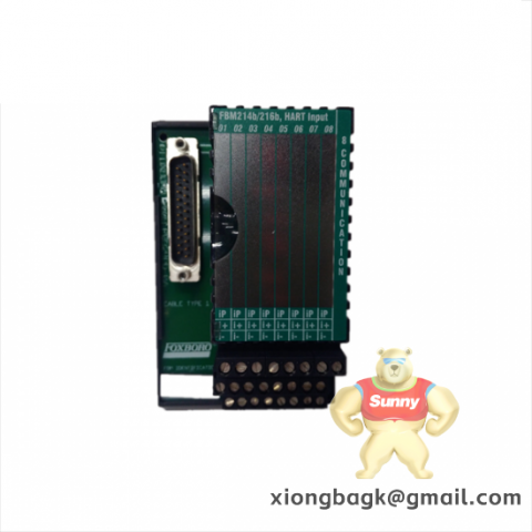 Foxboro E69F-B12 Module for Industrial Automation Control Systems
