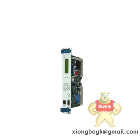 Vibro-meter VM600 200-570-000-014 Monitoring Module