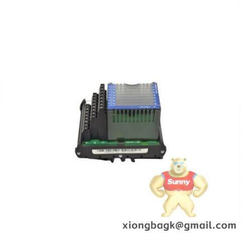 FOXBORO P0800DV Control Module for Industrial Automation Systems