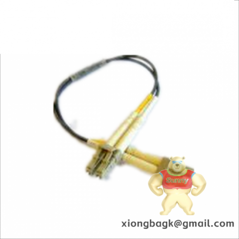 FOXBORO P0973BUDCS Power Module for Industrial Automation