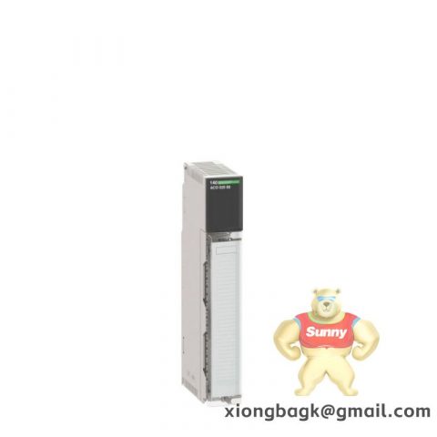 Schneider 140ACO02000 Analog Output Module, High Precision Industrial Control Component