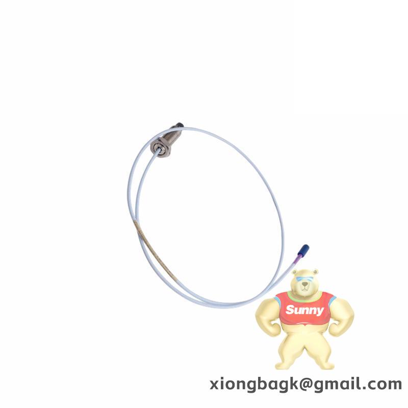 bently_125760-01_3.jpg BENTLY 125760-01 Data Manager I/O Module for Industrial Automation Systems