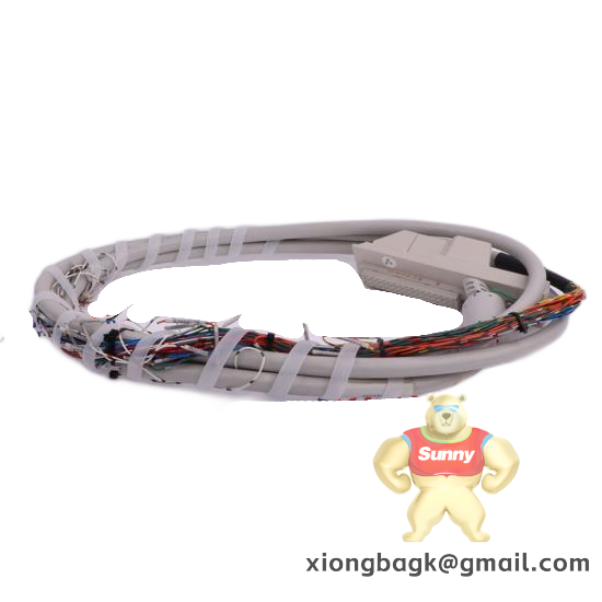 north_america_h6142-05.png ELAU C400/10/1/1/1/00 VCA07AAAA0AA00 Industrial Control Module