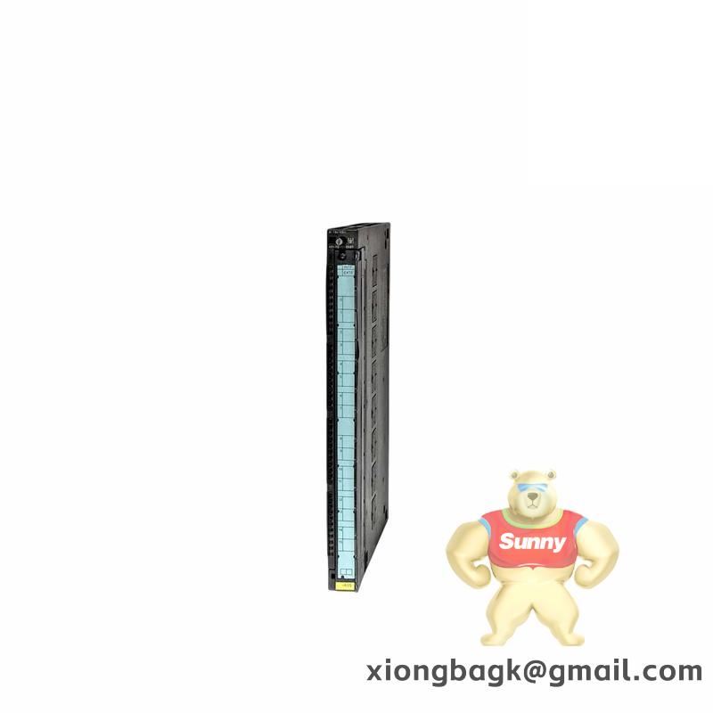 siemens_6es7431-7qh00-0ab0_analog_input_module.jpg ELAU C400/10/1/1/1/00 VCA07AAAA0AA00 Industrial Control Module