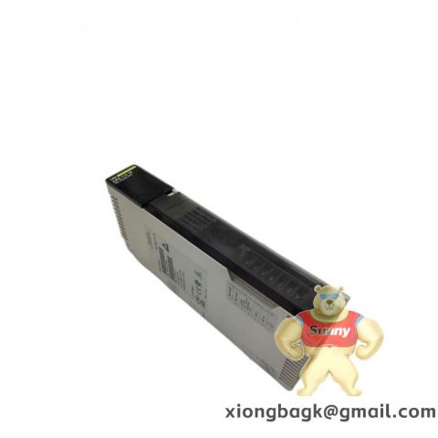 Schneider Electric 140CPS11410 Power Supply Module for Industrial Automation